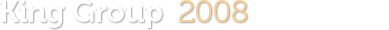 King Group LTD 2008